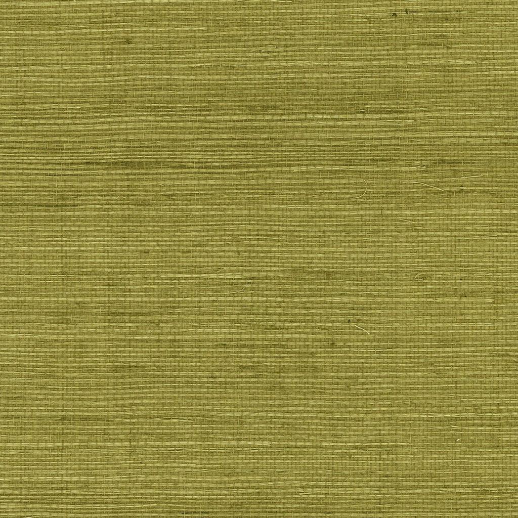 Nantucket Grasscloth Olive Wallcovering | Phillipe Romano