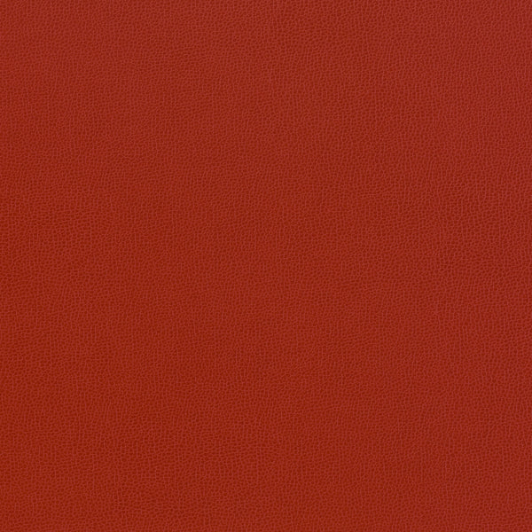 Carnegie Siltech Grain - Color 12