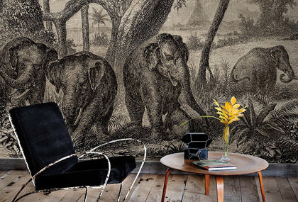 Elephants in the Jungle | Coordone Europe
