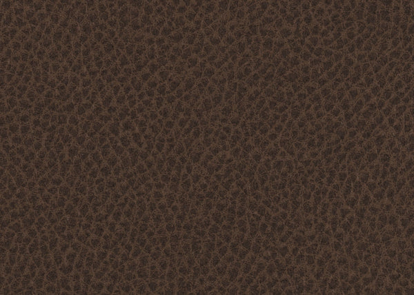 Scholar Fabric - Color 10 | Carnegie
