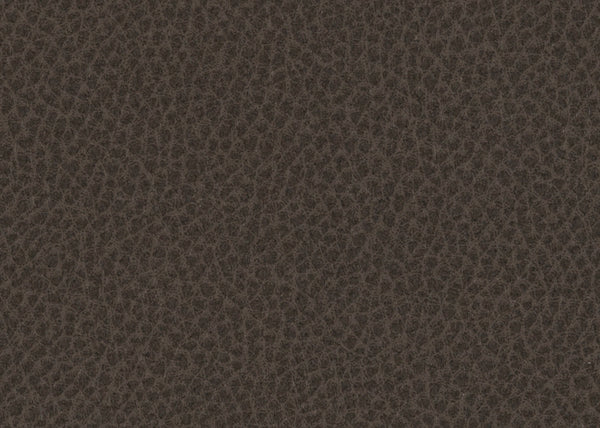 Scholar Fabric - Color 11 | Carnegie