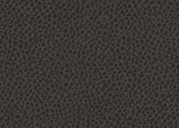 Scholar Fabric - Color 12 | Carnegie