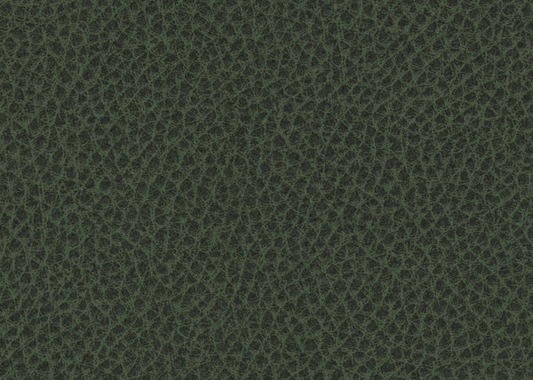 Scholar Fabric - Color 13 | Carnegie