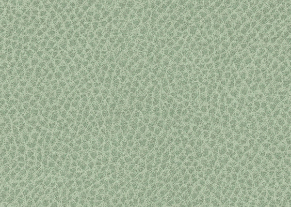 Scholar Fabric - Color 14 | Carnegie