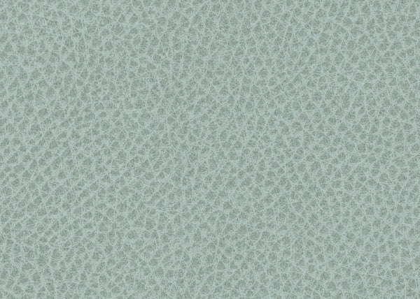 Scholar Fabric - Color 15 | Carnegie