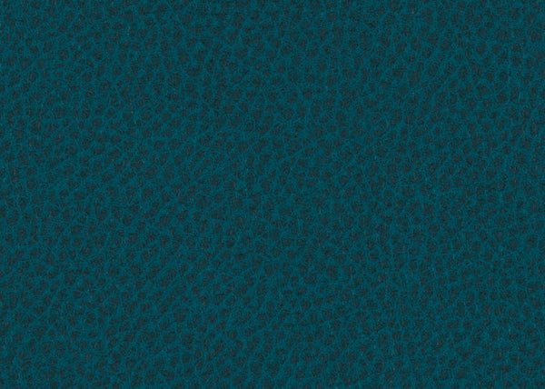 Scholar Fabric - Color 17 | Carnegie