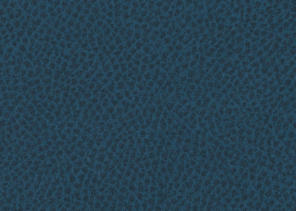 Scholar Fabric - Color 18 | Carnegie