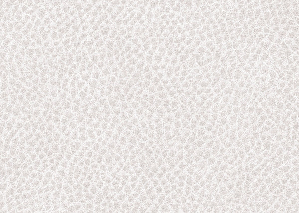 Scholar Fabric - Color 1 | Carnegie