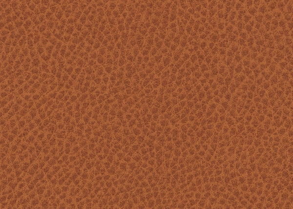 Scholar Fabric - Color 20 | Carnegie