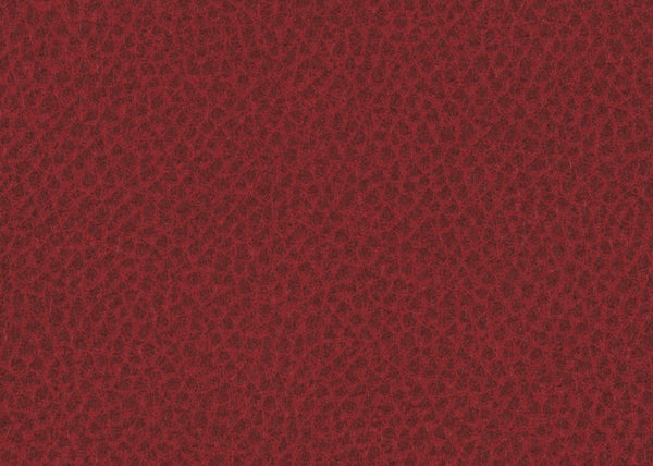 Carnegie Scholar 21
