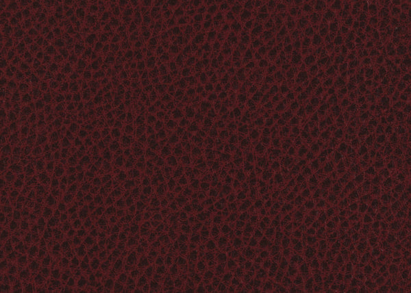 Scholar Fabric - Color 22 | Carnegie