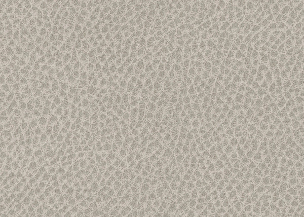 Scholar Fabric - Color 2 | Carnegie