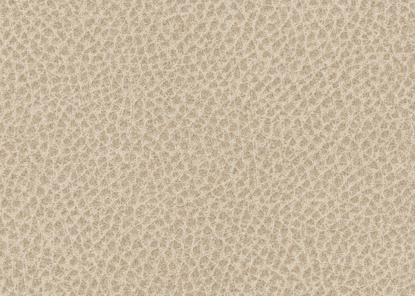 Scholar Fabric - Color 3 | Carnegie