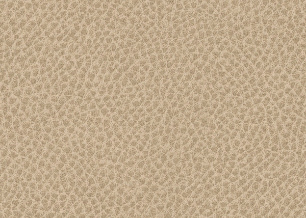 Scholar Fabric - Color 4 | Carnegie