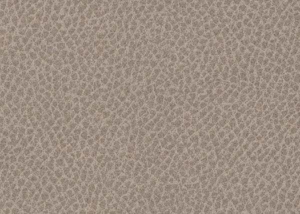 Scholar Fabric - Color 5 | Carnegie