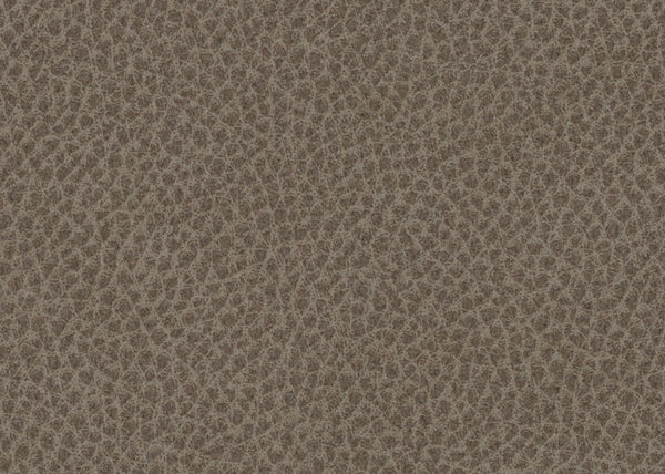 Scholar Fabric - Color 6 | Carnegie