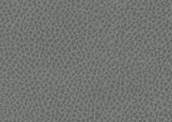 Scholar Fabric - Color 7 | Carnegie