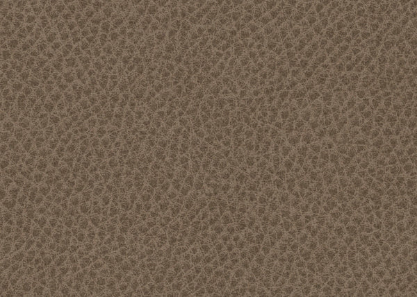 Scholar Fabric - Color 8 | Carnegie