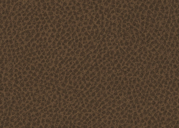 Scholar Fabric - Color 9 | Carnegie