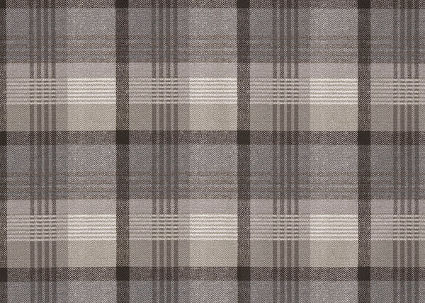 Carnegie Tartan Print 101