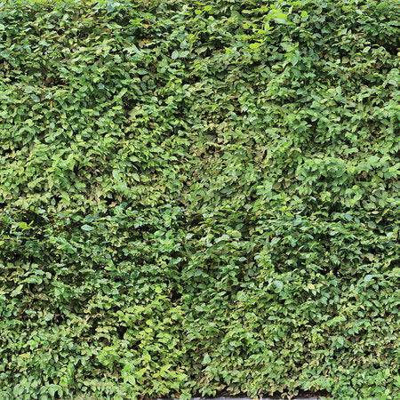 Ap Digital 3 Green Wallcovering | AS Creation