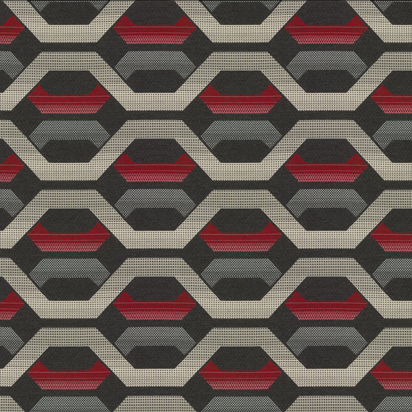 Carnegie Hive 24