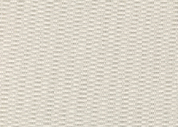 Xorel Sahara Matte Wallcovering - Color 608 | Carnegie