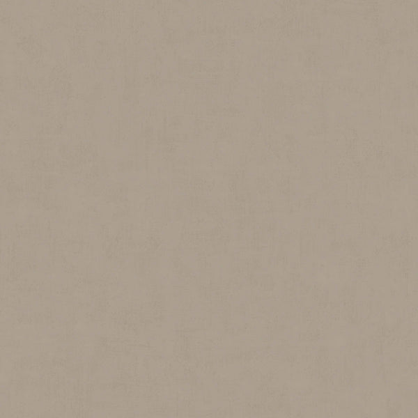 Broomed Concrete 61061, Roll Wallcoverings | Tres Tintas