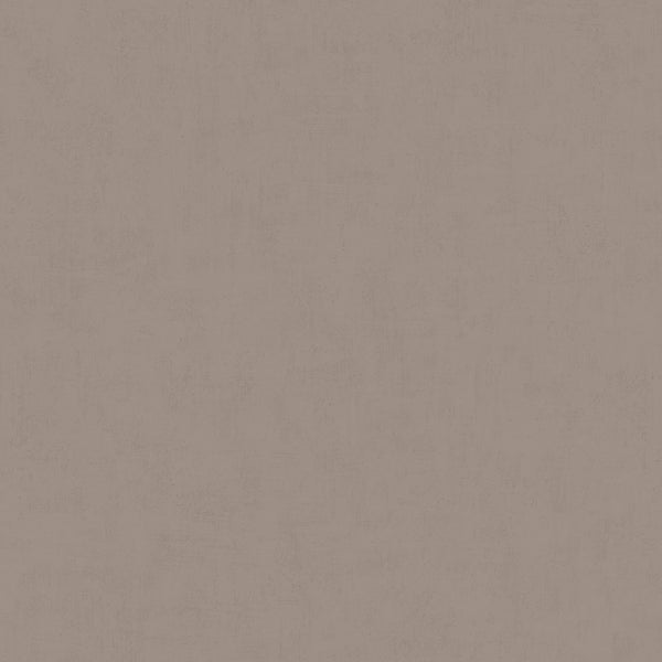 Broomed Concrete 61067, Roll Wallcoverings | Tres Tintas