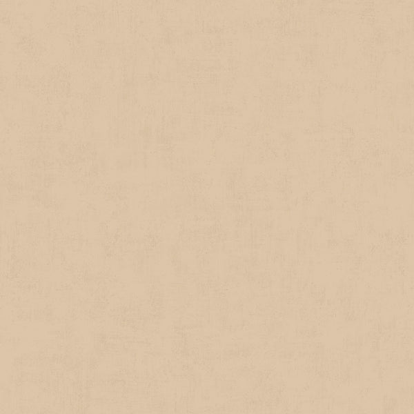 Broomed Concrete 61081, Roll Wallcoverings | Tres Tintas