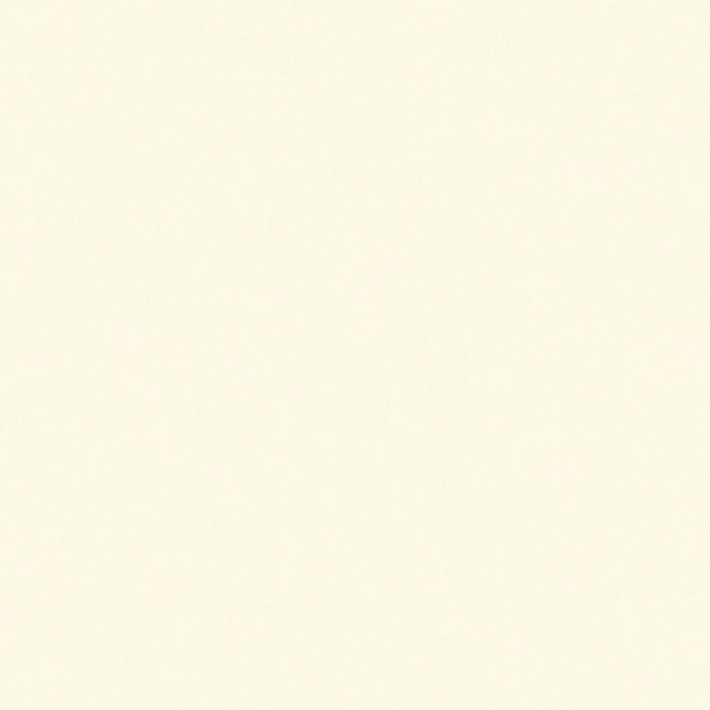Broomed Concrete 61083, Roll