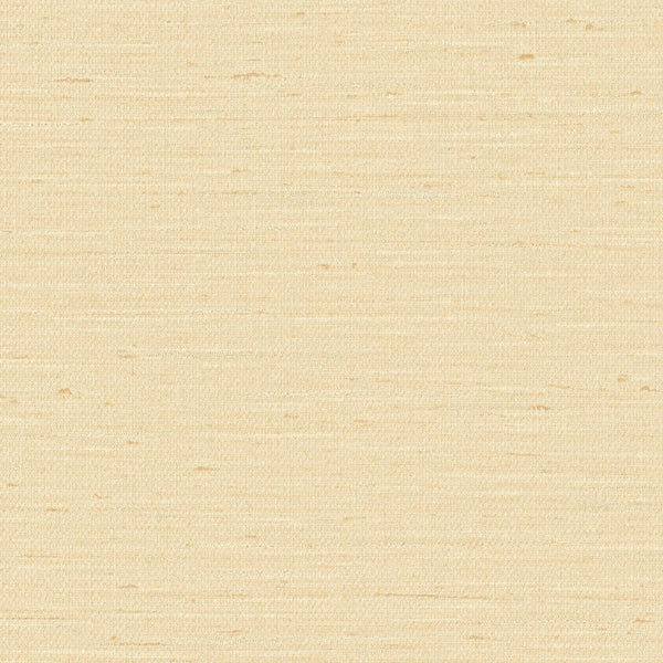 Pattu, Beige Wallcoverings | Designtex