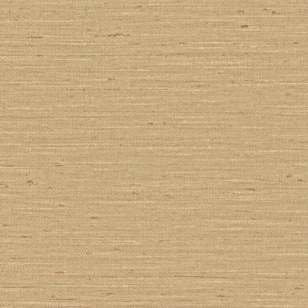 Pattu, Toast-6117V Wallcoverings | Designtex