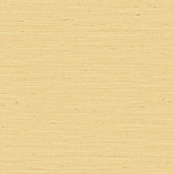 Pattu, Buttercup-6117V Wallcoverings | Designtex