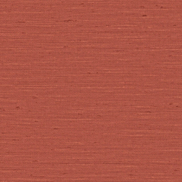 Pattu, Terracotta Wallcoverings | Designtex