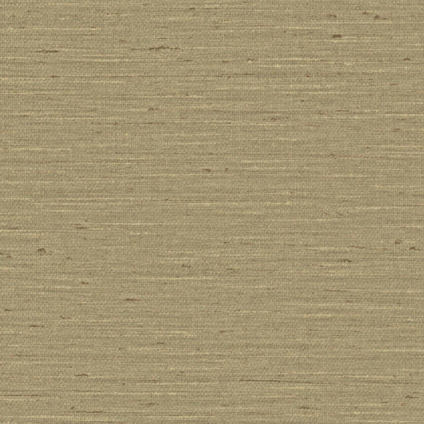 Pattu, Grass-6117V Wallcoverings | Designtex