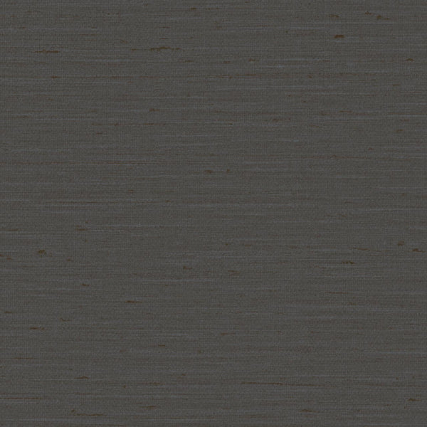 Pattu, Asphalt-6117V Wallcoverings | Designtex