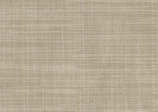 Xorel Galway Fabric - Color 22 | Carnegie
