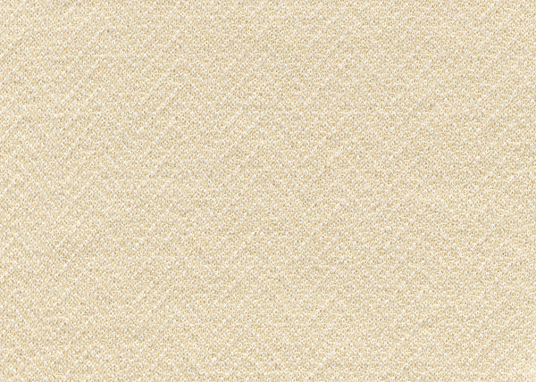 Xorel Caspian Fabric - Color 20 | Carnegie