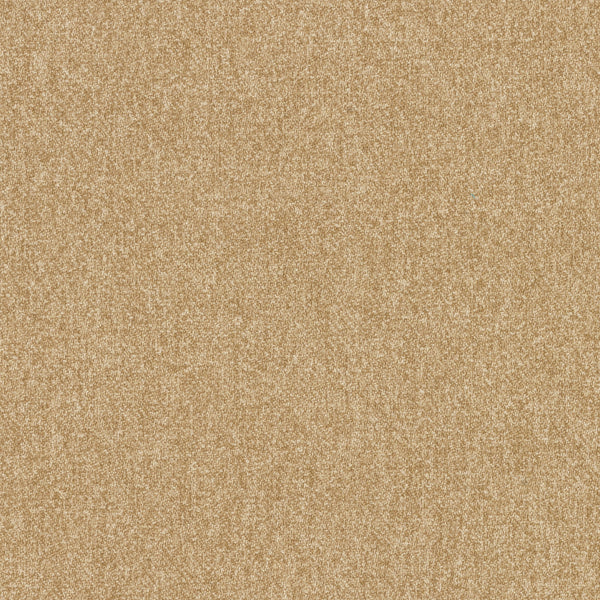 Theory Fabric - Color 43 | Carnegie