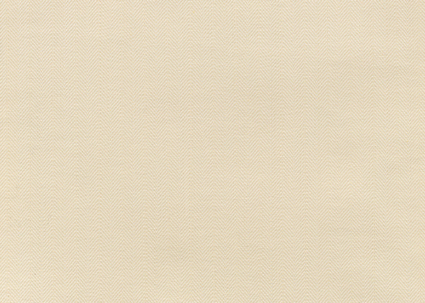 Xorel Ion Fabric - Color 31 | Carnegie