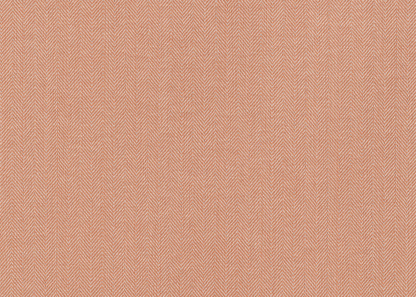 Xorel Ion Fabric - Color 35 | Carnegie