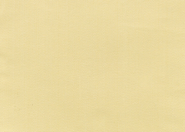 Xorel Ion Fabric - Color 36 | Carnegie