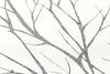 Attractive 2 Ivory Wallcovering | AS Creation