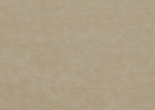 Mustang Fabric - Color 2 | Carnegie