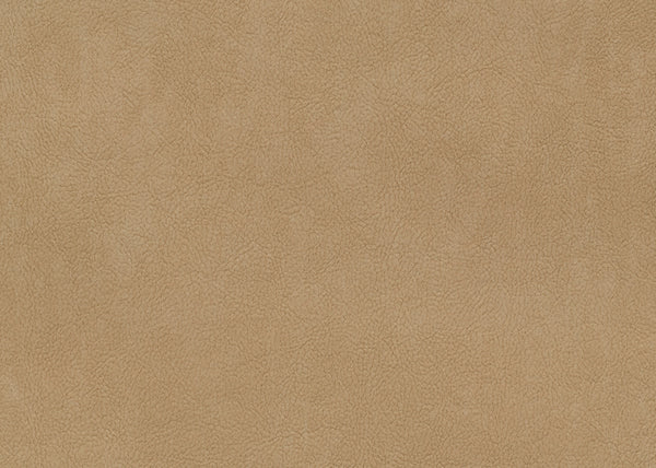Palomino Fabric - Color 3 | Carnegie