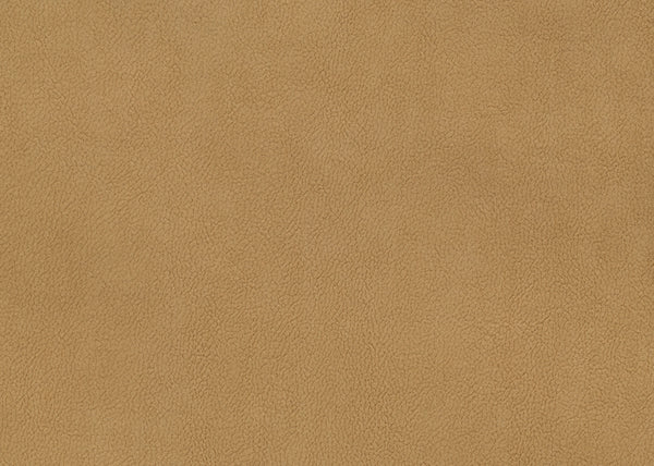 Palomino Fabric - Color 4 | Carnegie
