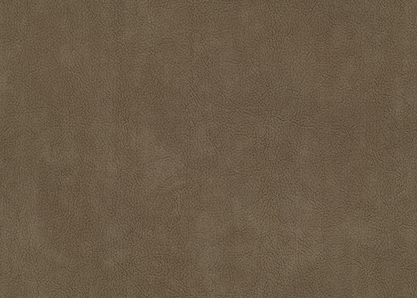 Palomino Fabric - Color 5 | Carnegie