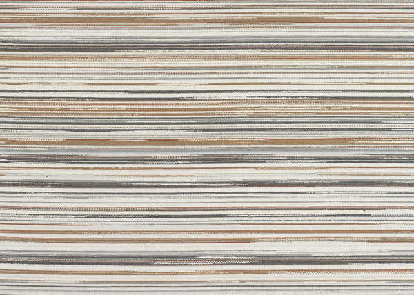 Carnegie Perspective 1