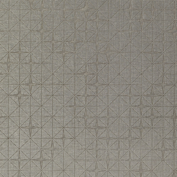 Xorel Fragment Emboss Fabric - Color 805 | Carnegie